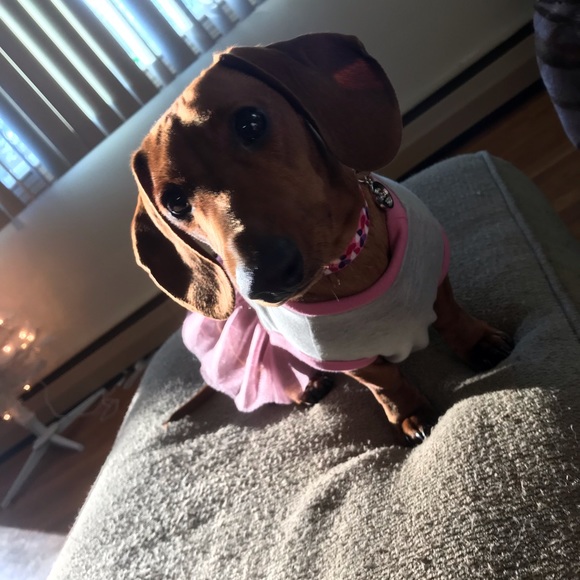 Meet your Posher, Kayla - Picture 1 of 1